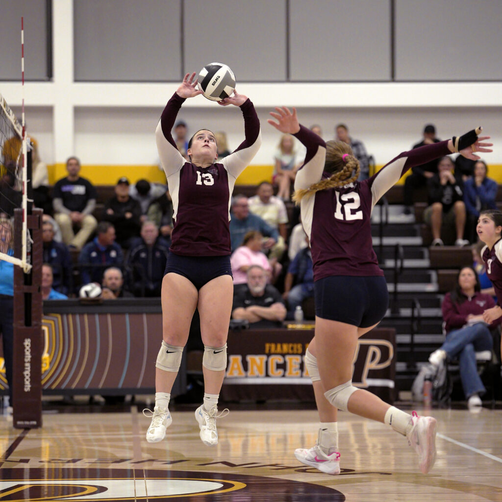 Volleyball team wins cif-sds division 1