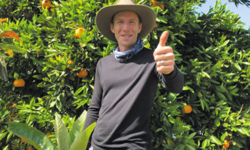 Learning to grow bountiful fruit trees 