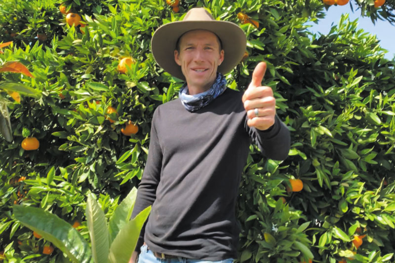 Learning to grow bountiful fruit trees 