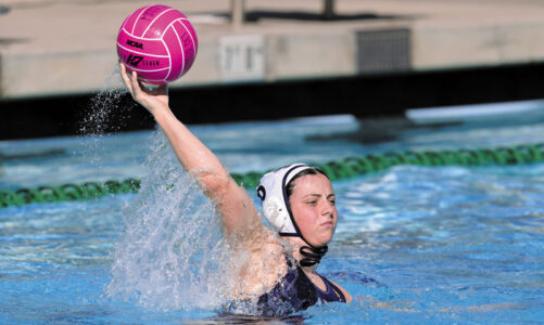 Team finishes impressive regular season 