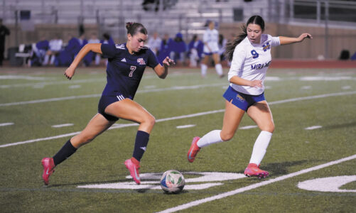 SPORTS ACTION