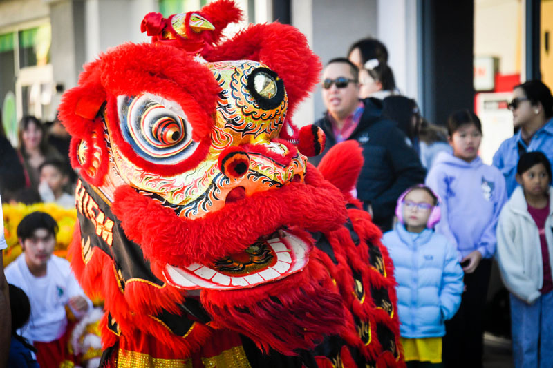 Chinese new year 