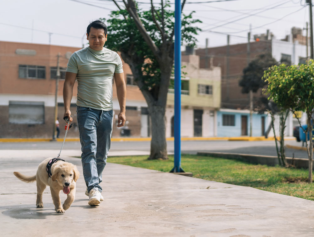 Walk more to stress less, and improve well being
