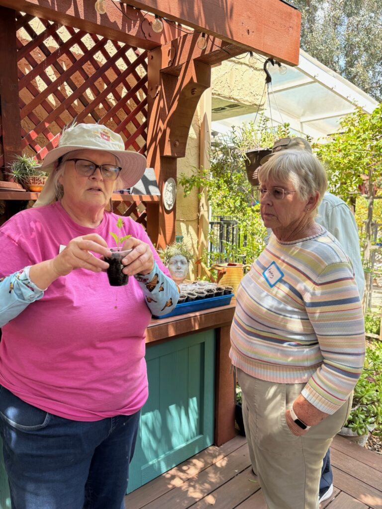 Garden tours celebrate the season