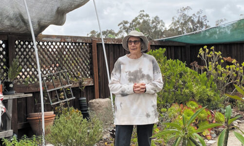 Garden Club features garden tours