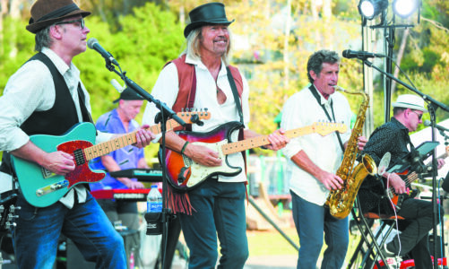 Symphony in the park