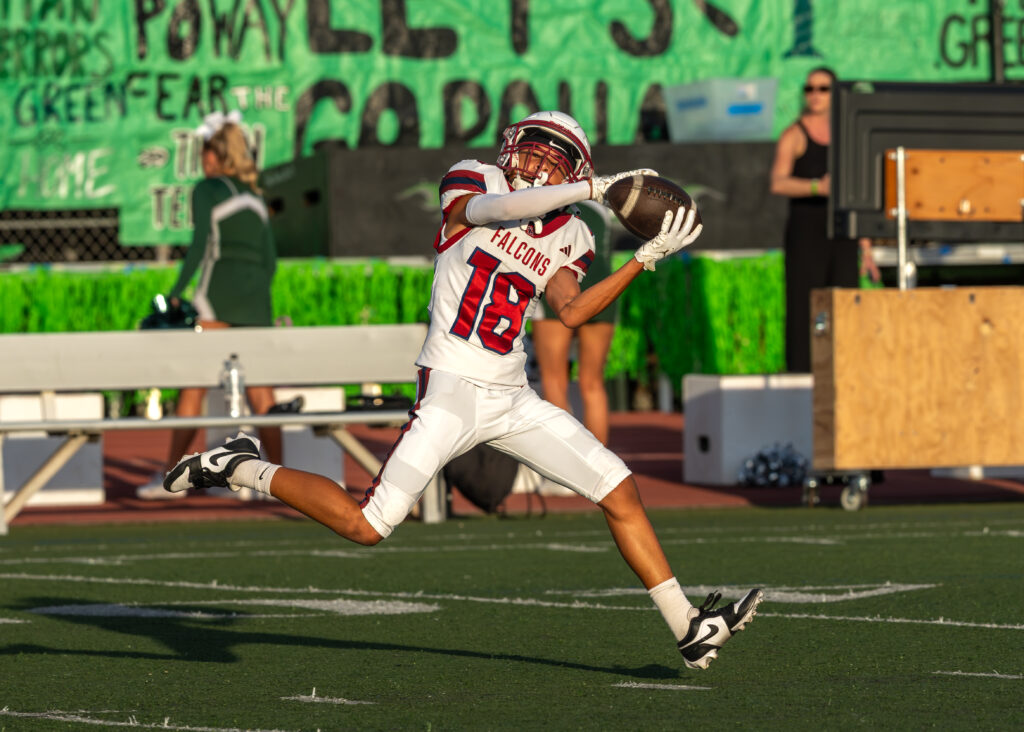 Falcons fall to titans Falcons fall to titans