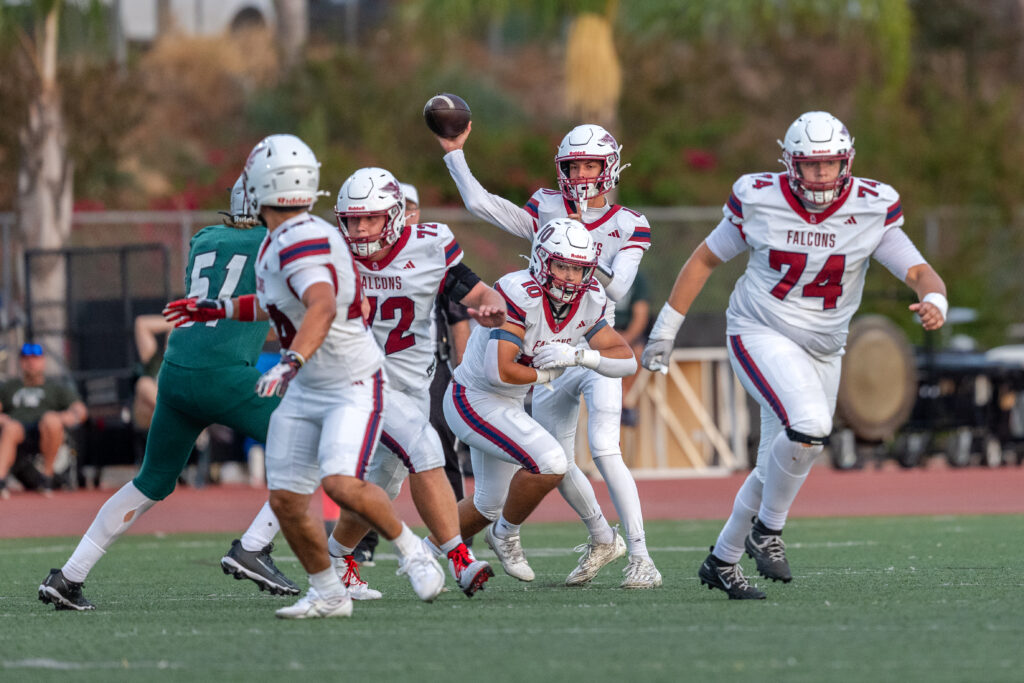 Falcons fall to titans Falcons fall to titans