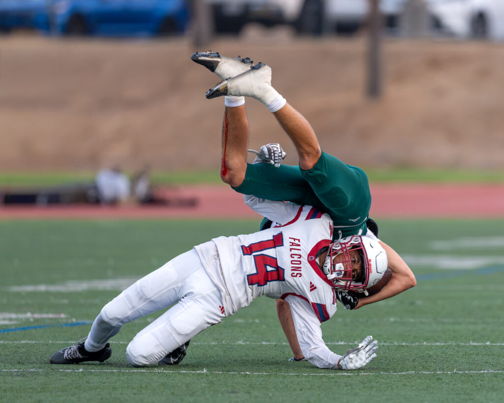 Falcons fall to titans Falcons fall to titans