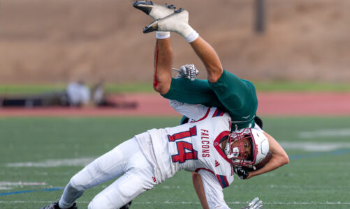 Falcons fall to titans