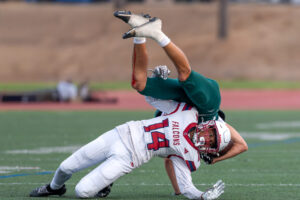 Falcons fall to titans