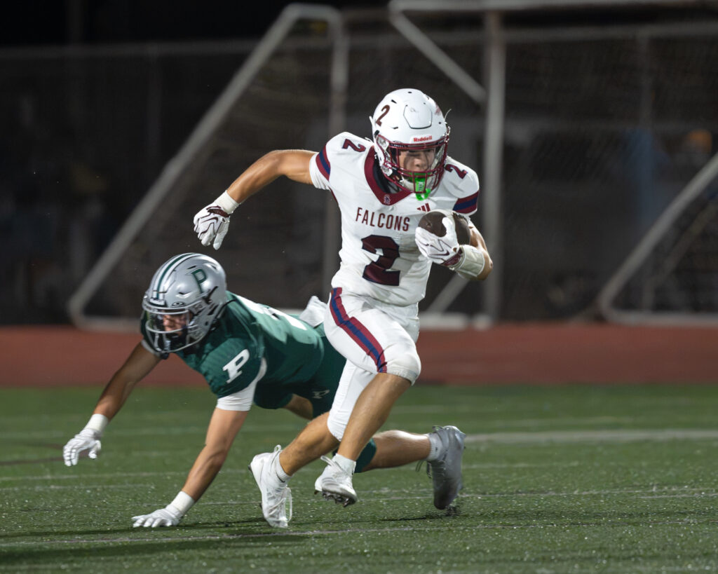 Falcons fall to titans Falcons fall to titans