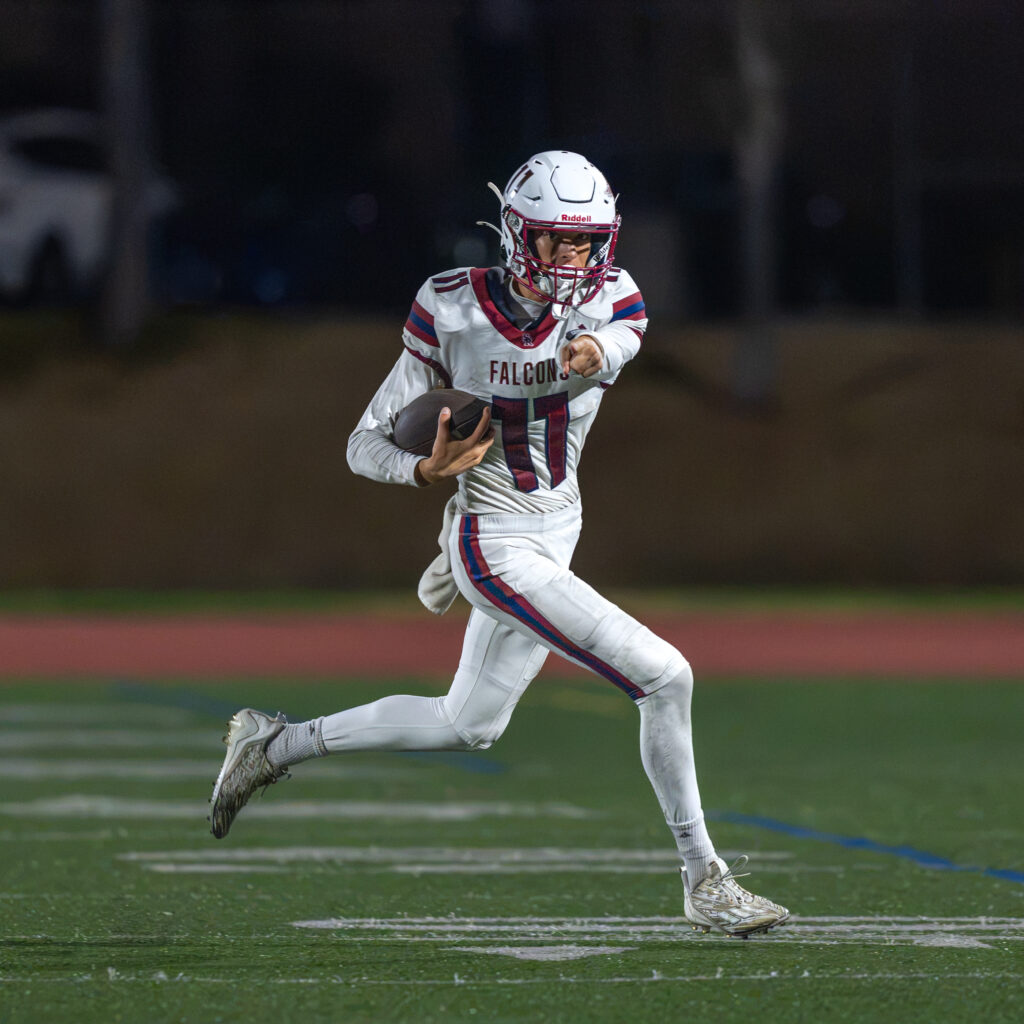 Falcons fall to titans Falcons fall to titans