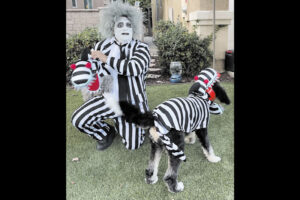 Hand maden designs: fun clothes for dogs