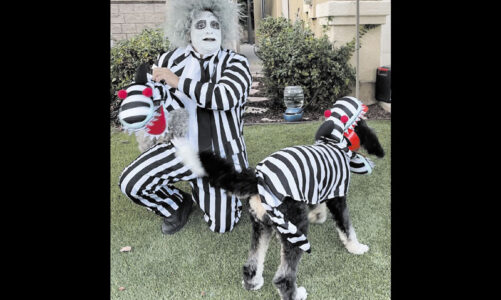 Hand maden designs: fun clothes for dogs