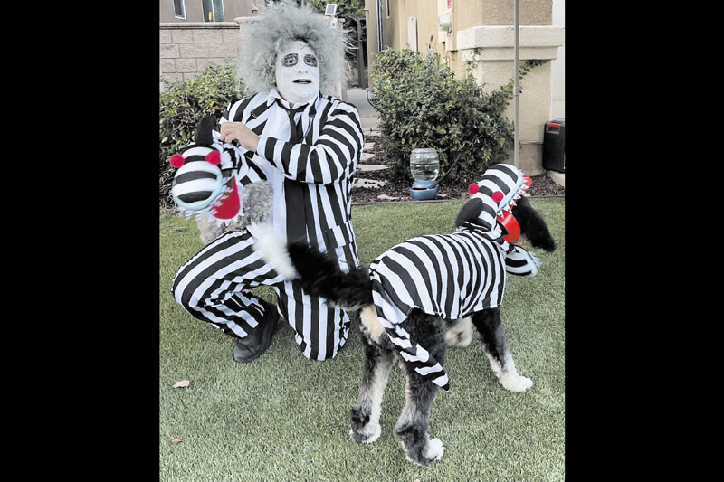 Hand maden designs: fun clothes for dogs Hand maden designs: fun clothes for dogs
