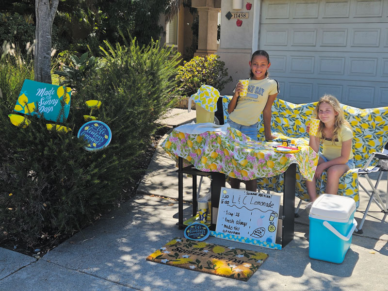 Lemonade stand photo contest