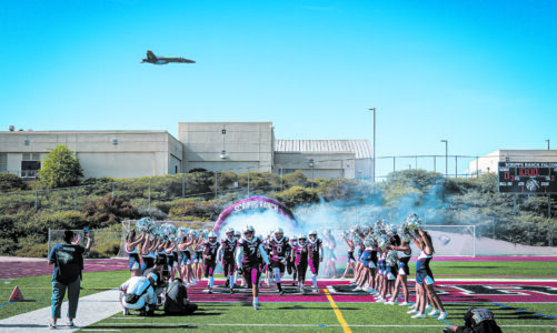 Blue Angel Bowl
